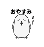 シロフクロウ★キュートな使える日常会話（個別スタンプ：2）
