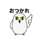 シロフクロウ★キュートな使える日常会話（個別スタンプ：3）