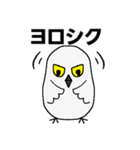 シロフクロウ★キュートな使える日常会話（個別スタンプ：8）
