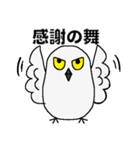 シロフクロウ★キュートな使える日常会話（個別スタンプ：10）