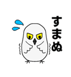 シロフクロウ★キュートな使える日常会話（個別スタンプ：11）