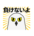 シロフクロウ★キュートな使える日常会話（個別スタンプ：12）