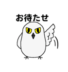 シロフクロウ★キュートな使える日常会話（個別スタンプ：17）