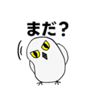 シロフクロウ★キュートな使える日常会話（個別スタンプ：20）
