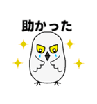 シロフクロウ★キュートな使える日常会話（個別スタンプ：25）