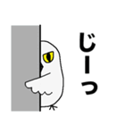 シロフクロウ★キュートな使える日常会話（個別スタンプ：28）