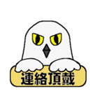 シロフクロウ★キュートな使える日常会話（個別スタンプ：30）