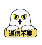 シロフクロウ★キュートな使える日常会話（個別スタンプ：31）