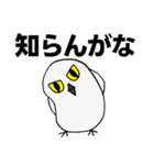シロフクロウ★キュートな使える日常会話（個別スタンプ：32）