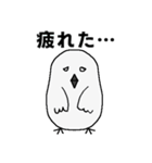 シロフクロウ★キュートな使える日常会話（個別スタンプ：34）