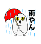 シロフクロウ★キュートな使える日常会話（個別スタンプ：36）