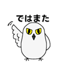 シロフクロウ★キュートな使える日常会話（個別スタンプ：40）