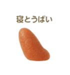 博多弁たい！明太子（個別スタンプ：8）