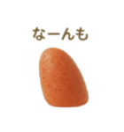 博多弁たい！明太子（個別スタンプ：24）