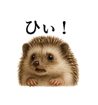 【叫ぶ！】リアルすぎるハリネズミの絶叫（個別スタンプ：7）