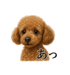 【叫ぶ！】リアルすぎるトイプードルの絶叫（個別スタンプ：2）