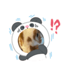アニマルなんです。うさぎのフッくん（個別スタンプ：3）