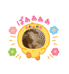 アニマルなんです。うさぎのフッくん（個別スタンプ：4）