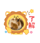 アニマルなんです。うさぎのフッくん（個別スタンプ：7）