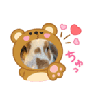 アニマルなんです。うさぎのフッくん（個別スタンプ：11）