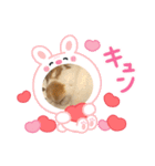 アニマルなんです。うさぎのフッくん（個別スタンプ：12）