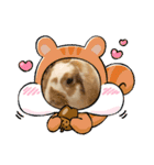 アニマルなんです。うさぎのフッくん（個別スタンプ：16）