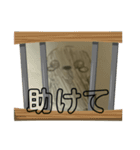 カラススタンプその3（個別スタンプ：11）