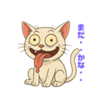 にゃんぷち（個別スタンプ：2）