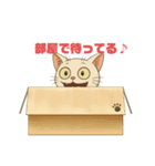 にゃんぷち（個別スタンプ：4）
