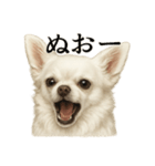 【叫ぶ！】リアルすぎる白チワワの絶叫（個別スタンプ：9）