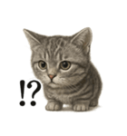 【叫ぶ！】リアルすぎる子猫マンチカン（個別スタンプ：6）