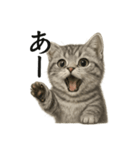 【叫ぶ！】リアルすぎる子猫マンチカン（個別スタンプ：8）