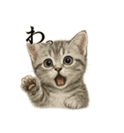 【叫ぶ！】リアルすぎる子猫マンチカン（個別スタンプ：9）