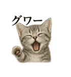 【叫ぶ！】リアルすぎる子猫マンチカン（個別スタンプ：11）
