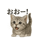 【叫ぶ！】リアルすぎる子猫マンチカン（個別スタンプ：12）