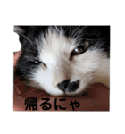 まるちゃん 第6弾（個別スタンプ：20）