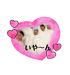 TB⚾︎スタンプ ②（個別スタンプ：12）