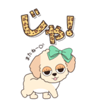 『マルプー』ハピチャラ☆1（個別スタンプ：5）