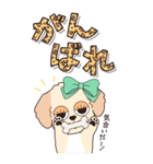 『マルプー』ハピチャラ☆1（個別スタンプ：13）