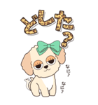 『マルプー』ハピチャラ☆1（個別スタンプ：23）