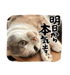 家猫うなのスタンプ2（個別スタンプ：2）