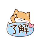 明るい☆まめシバ（個別スタンプ：2）