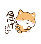 明るい☆まめシバ（個別スタンプ：13）