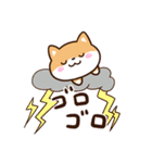 明るい☆まめシバ（個別スタンプ：23）
