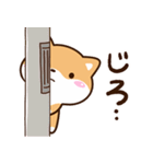 明るい☆まめシバ（個別スタンプ：27）