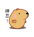 もふもふ動くきゃぴばら【敬語】（個別スタンプ：11）