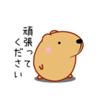 もふもふ動くきゃぴばら【敬語】（個別スタンプ：14）
