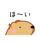 もふもふ動くきゃぴばら【敬語】（個別スタンプ：15）