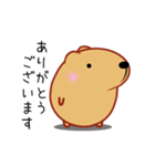 もふもふ動くきゃぴばら【敬語】（個別スタンプ：21）