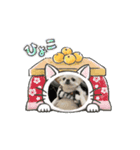 備後弁おやじの家族（個別スタンプ：2）